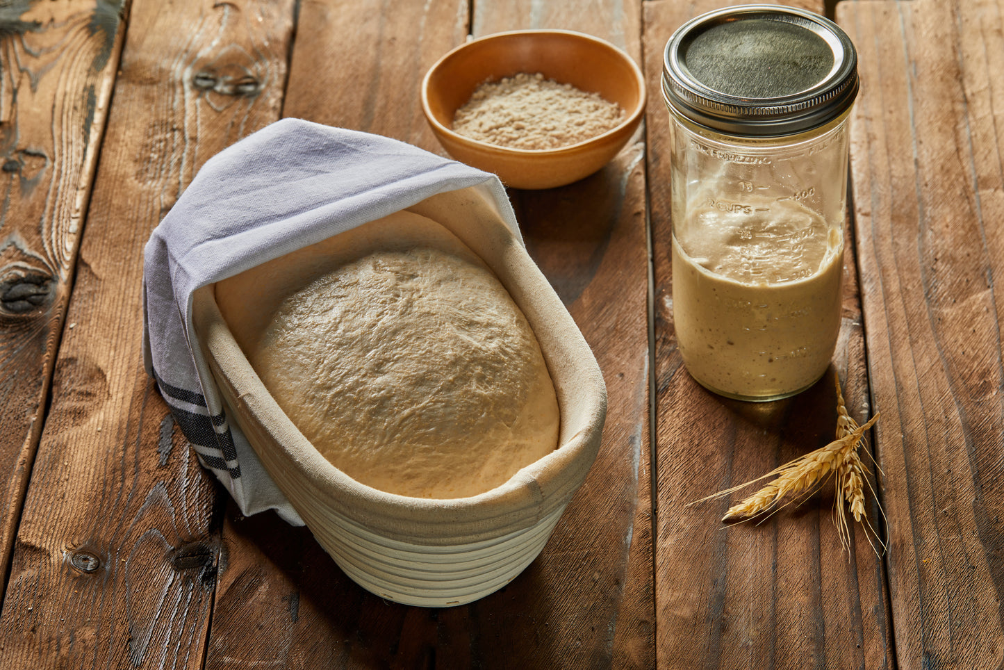 Sourdough Starter